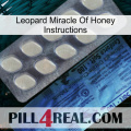 Leopard Miracle Of Honey Instructions 34